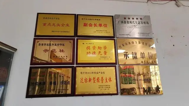 绿色养殖业_致富养殖绿色技术研究_绿色养殖致富技术
