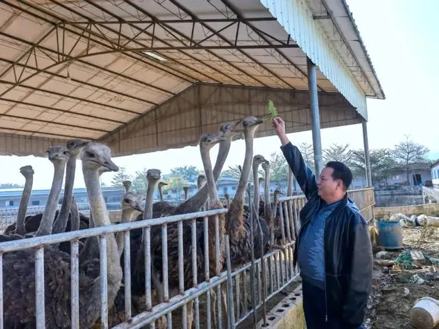 绿色养殖业_绿色养殖致富技术_致富养殖绿色技术研究