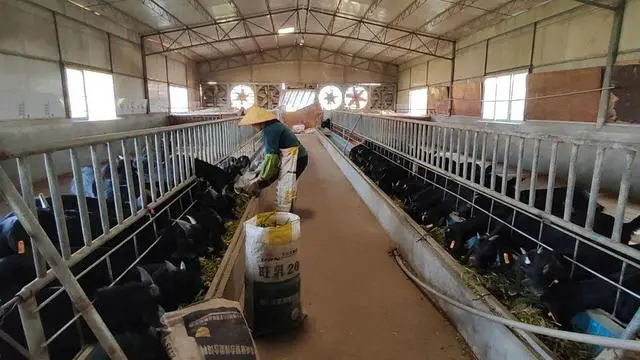 绿色养殖业_致富养殖绿色技术研究_绿色养殖致富技术