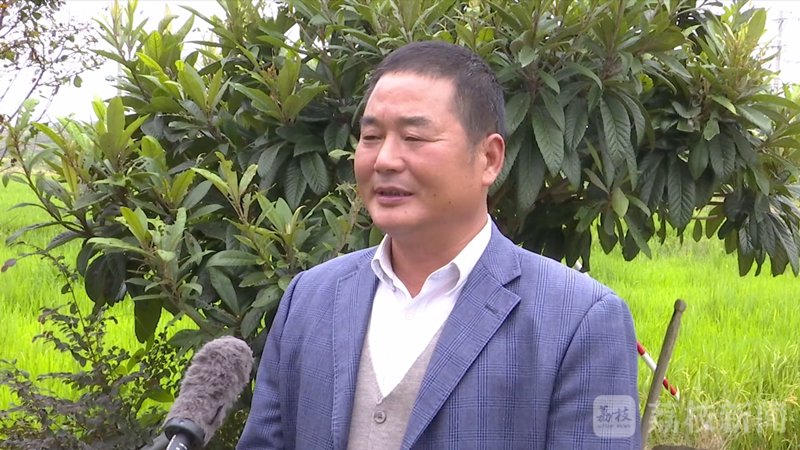 “百城千县万村调研行”| 湖北沙洋的致富探索：从一户多田到按户连片