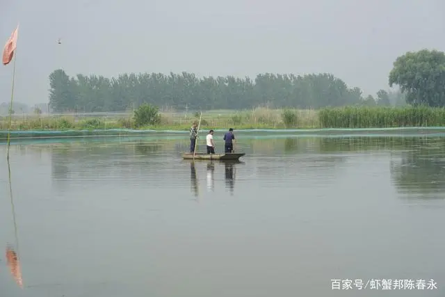 龙虾养殖水产技术新进展_水产龙虾养殖新技术_龙虾养殖新技术模式