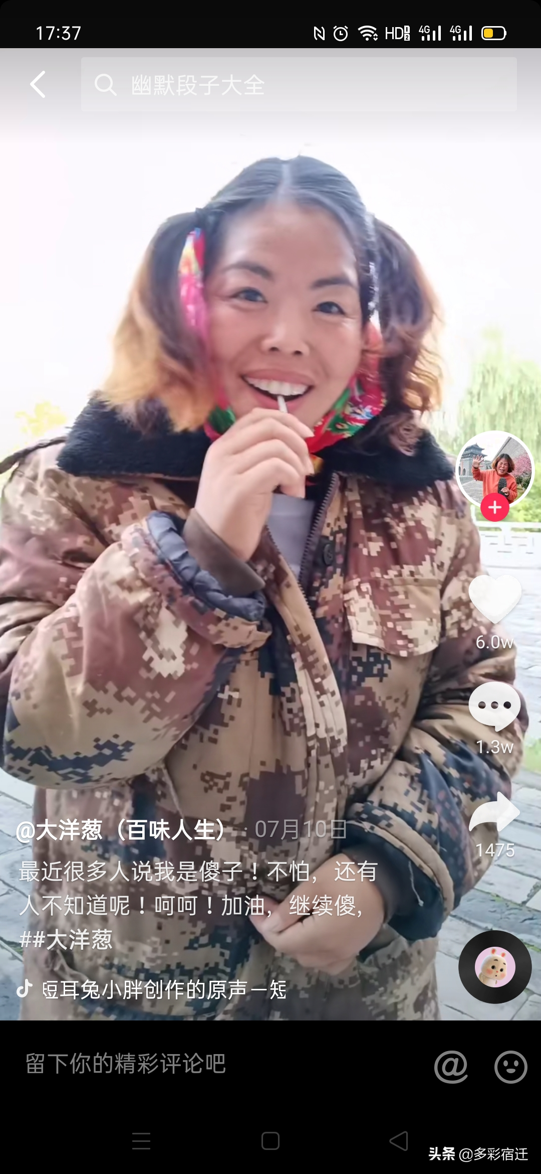 洋葱赚钱_洋葱亩投资_农村致富经网洋葱