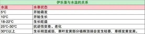龙虾养殖水产技术新闻_龙虾养殖项目实施方案_水产龙虾养殖新技术