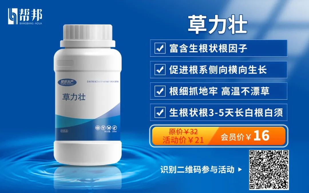 水产龙虾养殖新技术_龙虾养殖项目实施方案_龙虾养殖水产技术新闻
