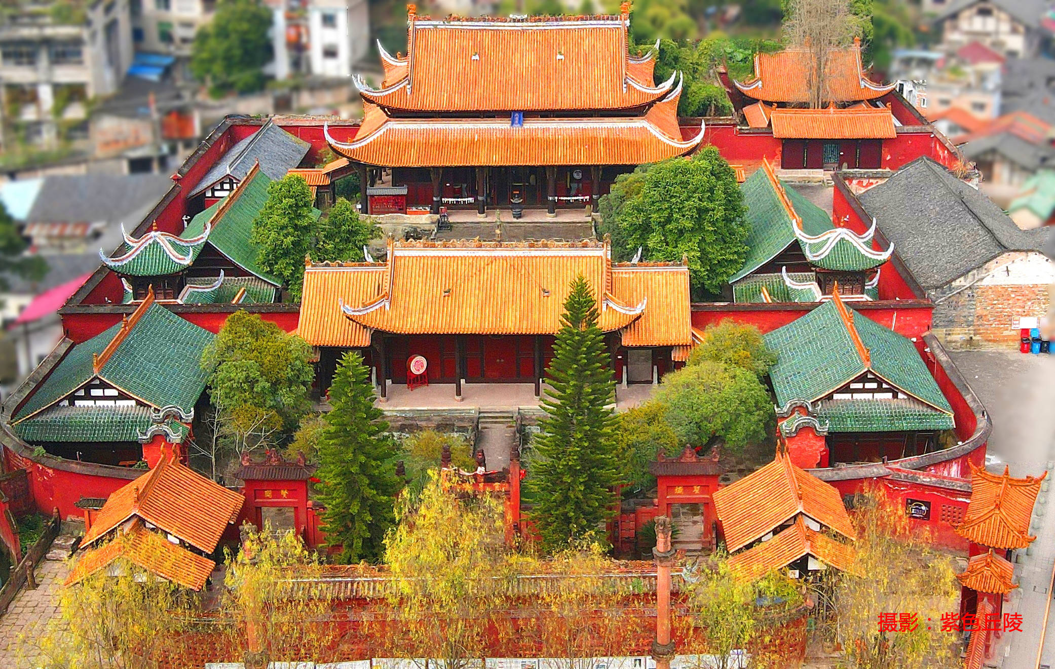 蔚然橙风，吹动资中乡村振兴梦
