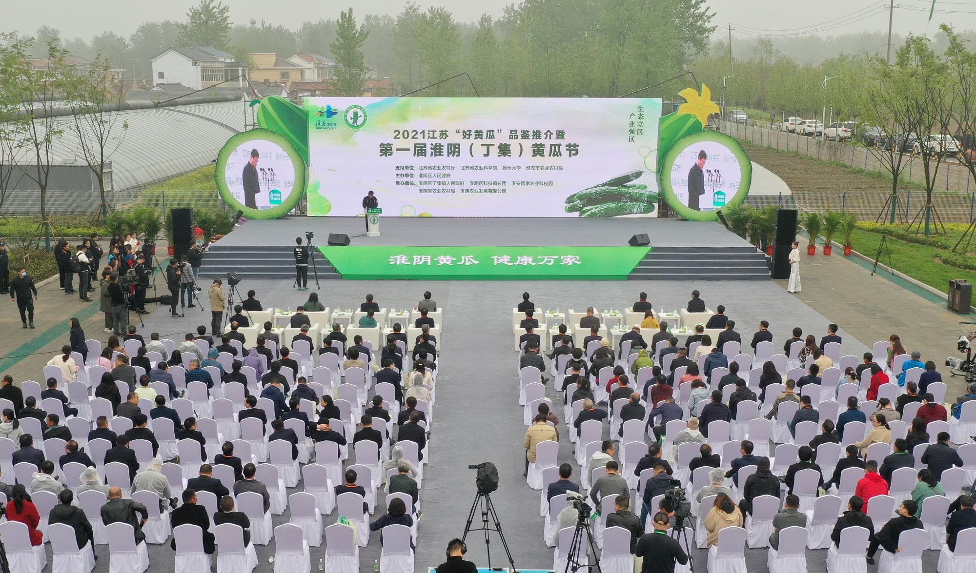 淮阴走出产业强镇富民新路 一根黄瓜“结”出十亿产值