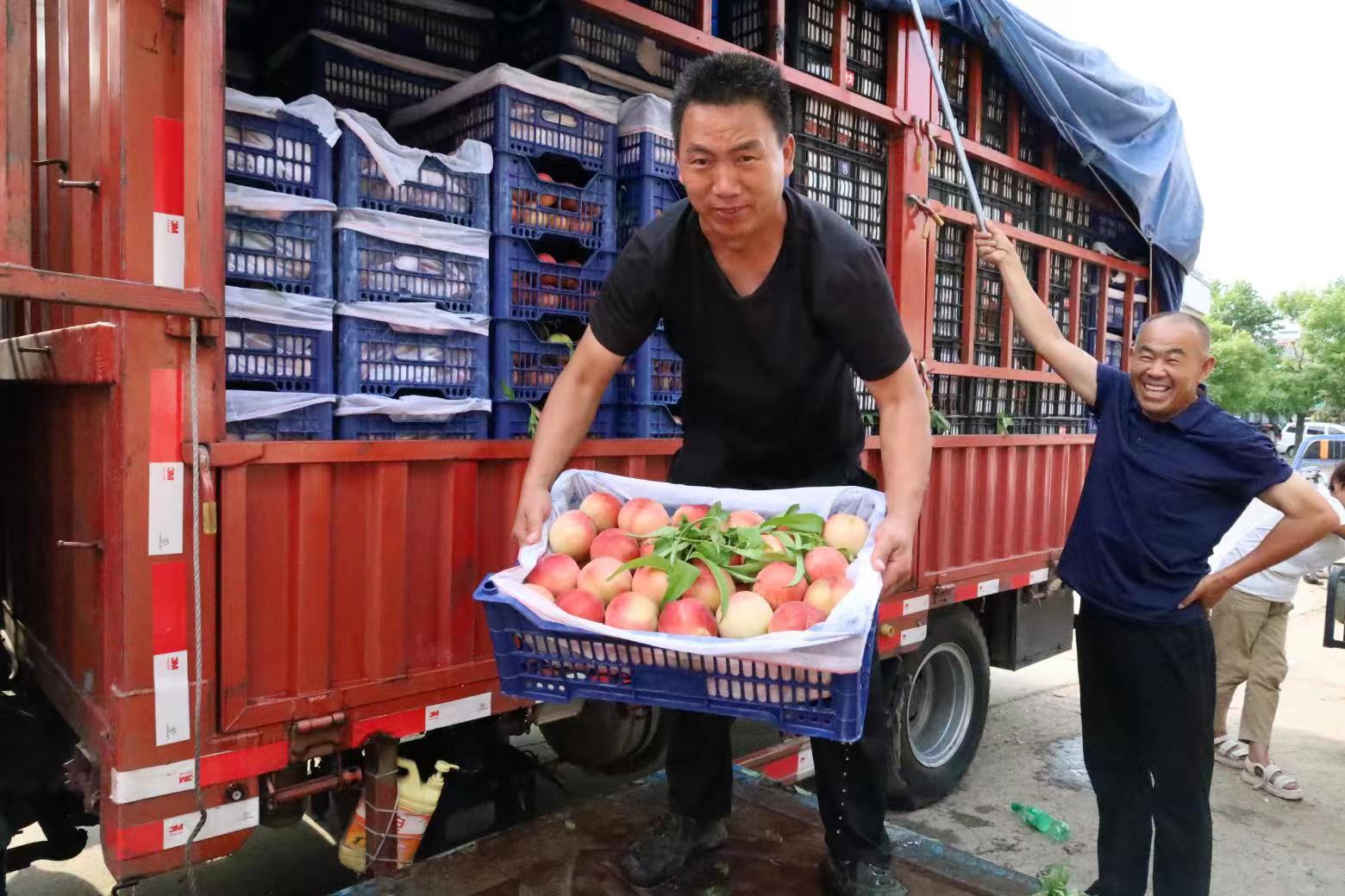 致富水果种植农民图片_水果种植农民致富_致富水果种植农民视频