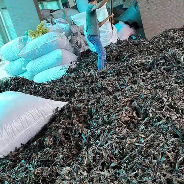 蚯蚓养殖利润_蚯蚓养殖一年挣多少钱_蚯蚓养殖技术成本
