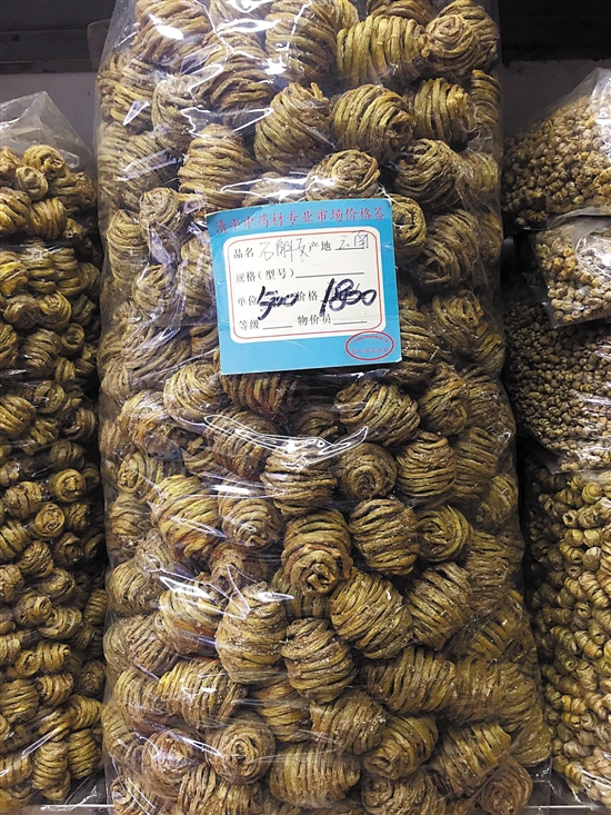 石斛种植技术视频_种植石斛视频_石斛种植技术教材