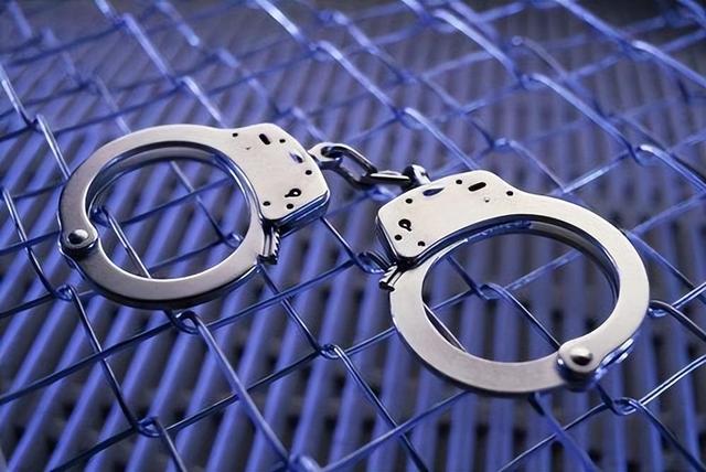 刘伟养殖致富视频_养殖致富网视频_致富经养殖业视频