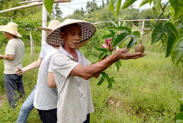 赣州种植水果致富_赣州水果采摘基地_赣州出名的水果
