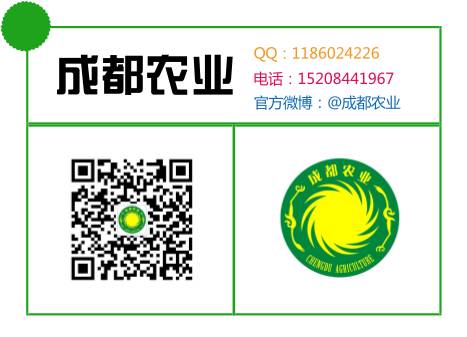青脚鸡怎么样_青脚鸡养殖技术_鸡脚是青色是什么品种