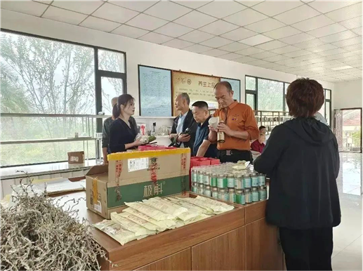 野生中药种植致富_野生中药和种植药药效差多少_致富药材种植