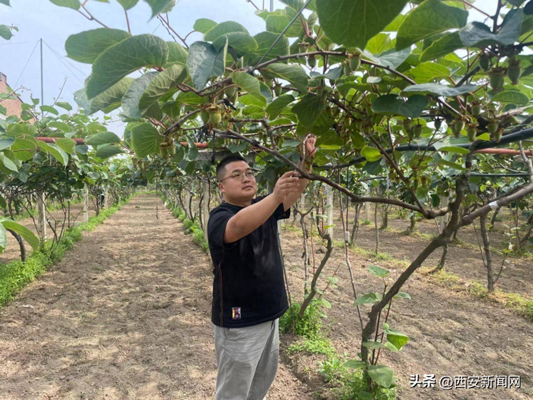 优质服务典型经验材料_优质服务典型经验案例_典型案例优质经验服务总结