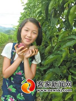 赣州水果基地_赣州种植水果致富_江西赣州种植什么水果最好