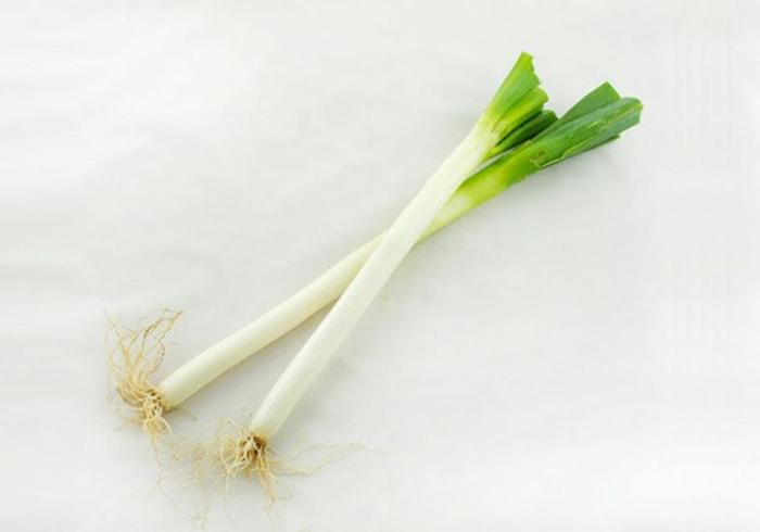 关于种植大葱，大葱生长环境和栽培技术，看这里就清楚了