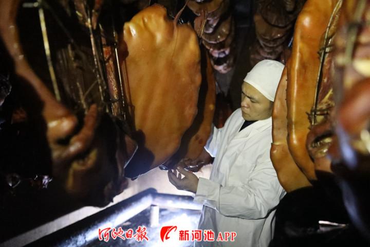 巴马养殖致富_巴马养猪场项目_巴马养牛基地