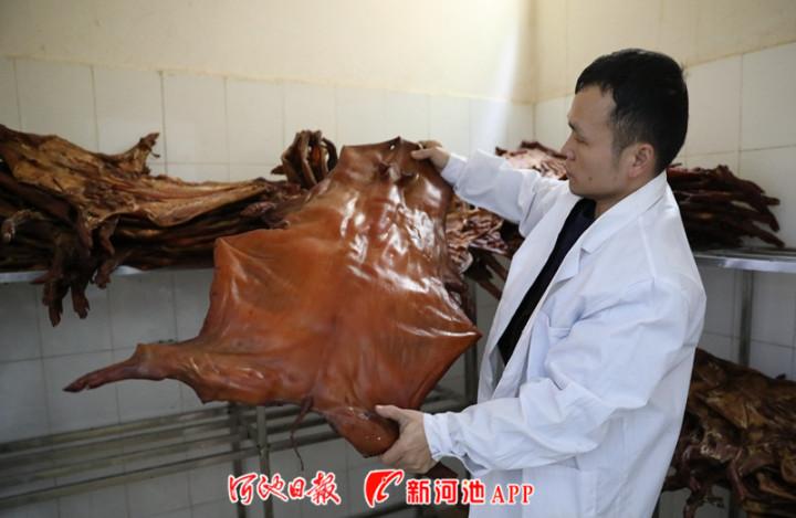 巴马养猪场项目_巴马养牛基地_巴马养殖致富
