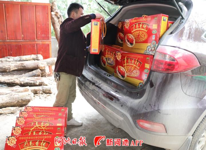 巴马养殖致富_巴马养猪场项目_巴马养牛基地