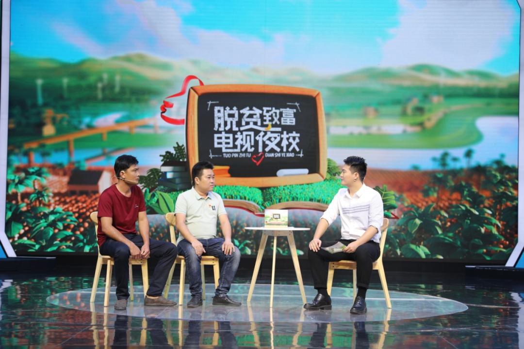 哈密瓜怎样种植视频播放_种植哈密瓜视频_哈蜜瓜种植技术视频