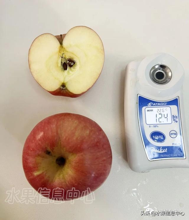 cctv苹果种植新技术_种植苹果的前景如何_高效种植苹果视频