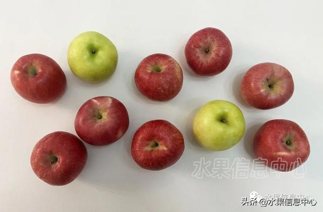 种植苹果的前景如何_高效种植苹果视频_cctv苹果种植新技术