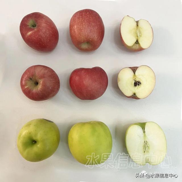 高效种植苹果视频_cctv苹果种植新技术_种植苹果的前景如何