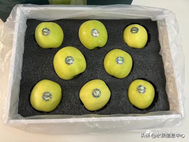 种植苹果的前景如何_cctv苹果种植新技术_高效种植苹果视频