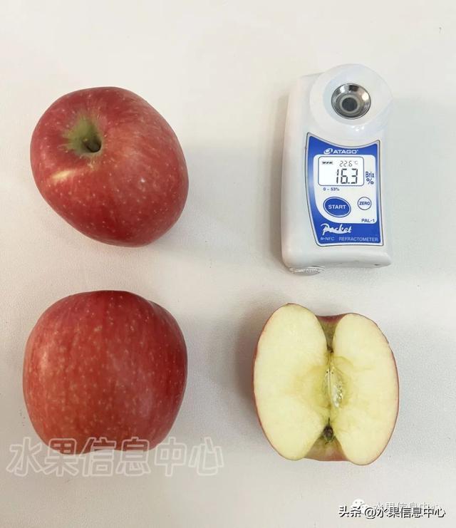 cctv苹果种植新技术_高效种植苹果视频_种植苹果的前景如何