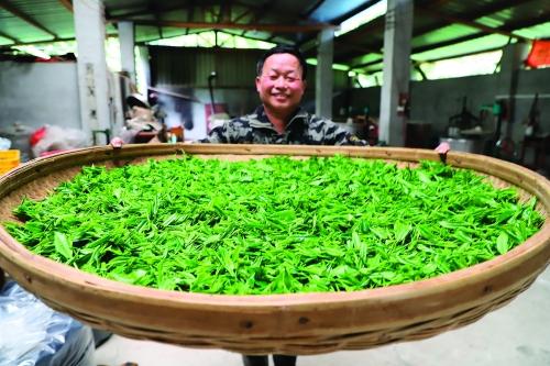 致富经麻雀养殖_致富经麻雀养殖_致富经麻雀养殖