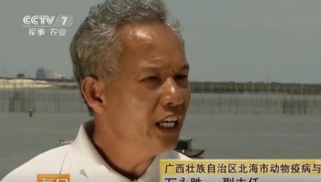 发现很多标题写着央视曝光海鸭蛋，今天提供真实视频截图