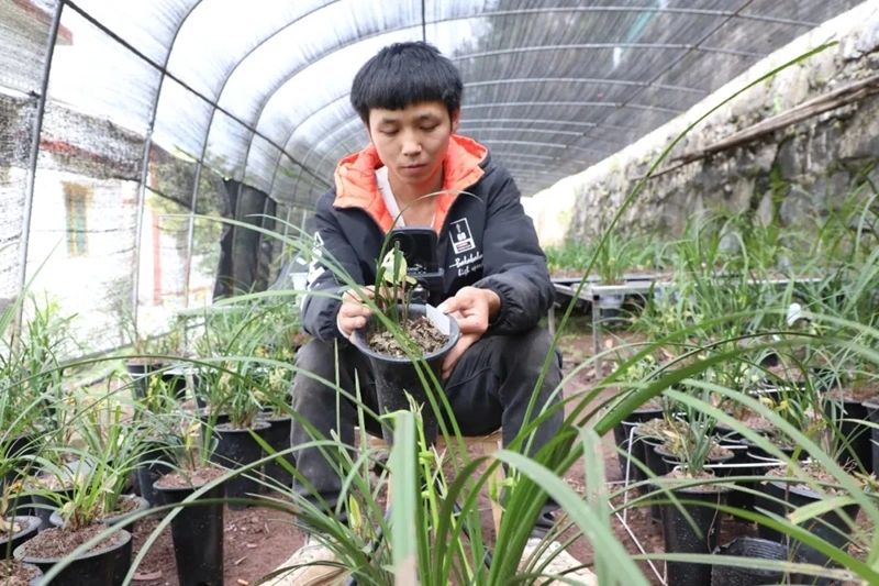 遵义桐梓：挖掘乡村致富能手 让新农人成“兴农人”