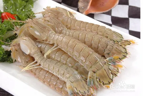 皮皮虾如何养殖