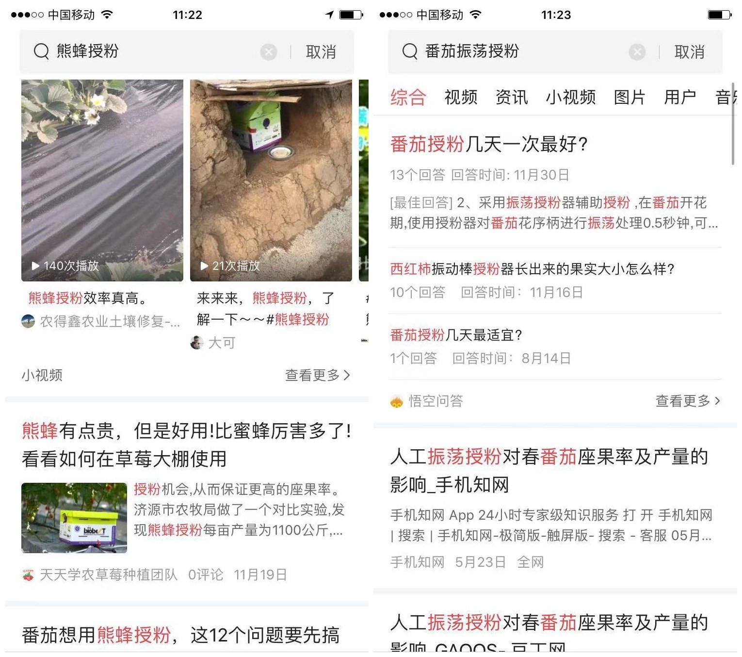 酉红柿的种植技术_酉红柿种植技术_种植西红柿技术视频