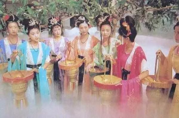 中药种植致富套路书_种植致富药材_致富经种植中药材视频