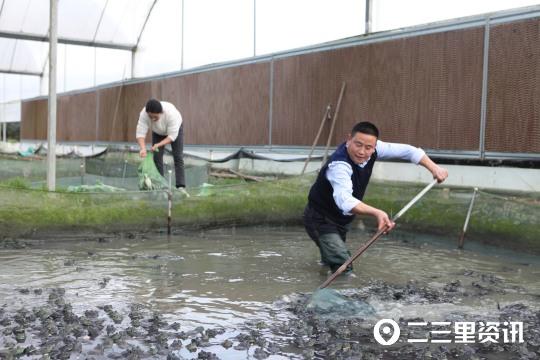 致富经牛蛙_致富经养蛙视频全集_cctv7 致富经养牛蛙