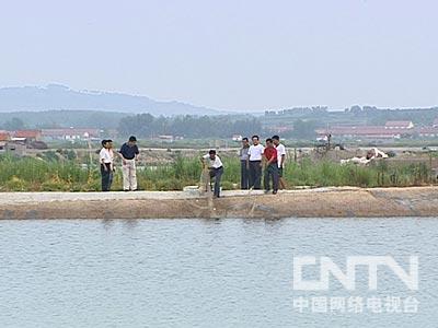 一招致富_致富经三招_致富经 奇招