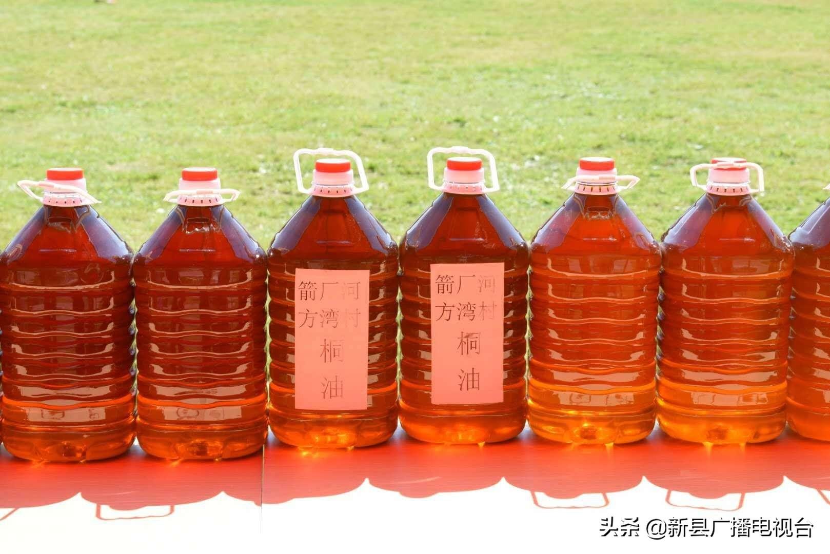 桐油种植致富_致富种植桐油怎么样_致富种植桐油好不好