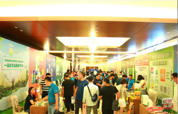 聚焦海南百亿大市场，助力海南哈密瓜向优而生