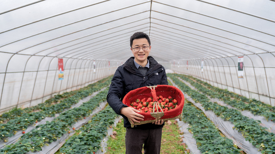全村养殖土鸡致富_土鸡养殖致富经2019年全集_土鸡养殖厂