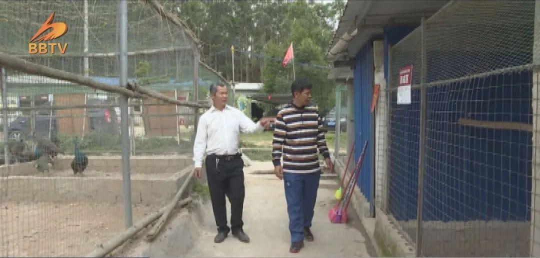 养殖花孔雀致富_孔雀养殖赚钱吗_致富孔雀养殖花卉
