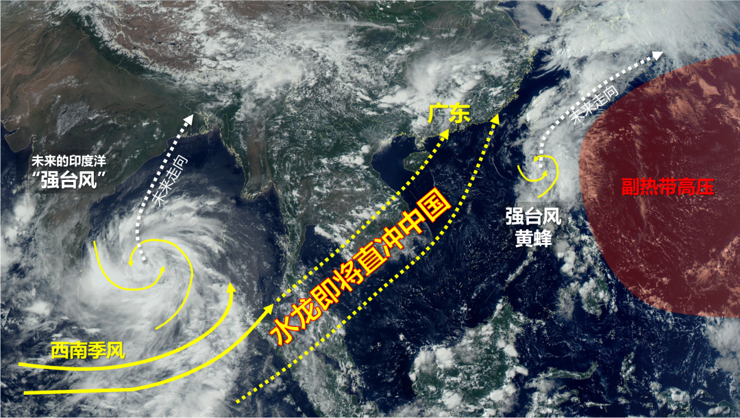 致富经黄颡鱼_黄颡鱼合作_致富经养黄颡鱼视频全集