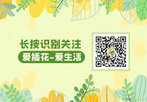 澳洲梅的种植_澳洲梅好养吗_澳洲梅怎么养殖技术