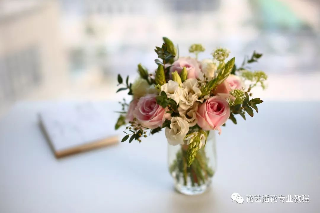 澳洲梅的种植_澳洲梅怎么养殖技术_澳洲梅好养吗