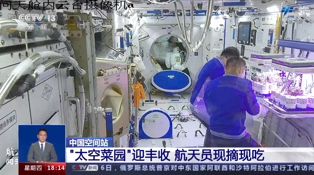 “太空菜园”迎丰收 ，“天宫”种菜如何实现？