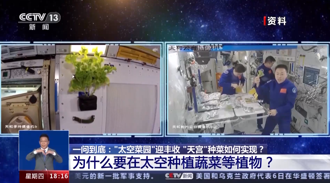 农村种植蔬菜致富方案_种菜致富案例_种植蔬菜能发家致富吗吗
