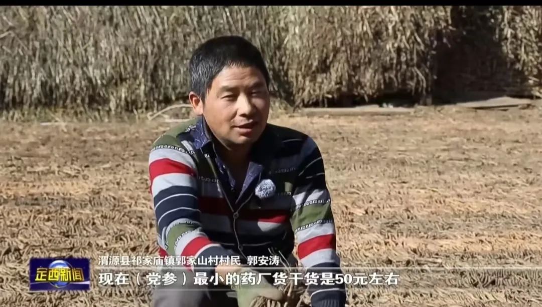 陕南中药材种植_陕南药材种类_陕南种植药材致富