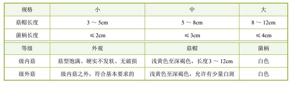 农业致富网羊肚菌种植_致富经羊肚菌种植视频_致富经羊肚菌的种植技术