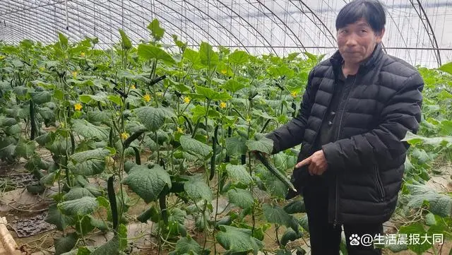 致富经种植三种水果亩收入过亿_农业种植水果致富项目_农村特色水果种植创业项目