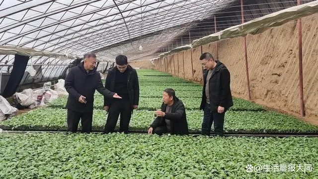 农业种植水果致富项目_农村特色水果种植创业项目_致富经种植三种水果亩收入过亿